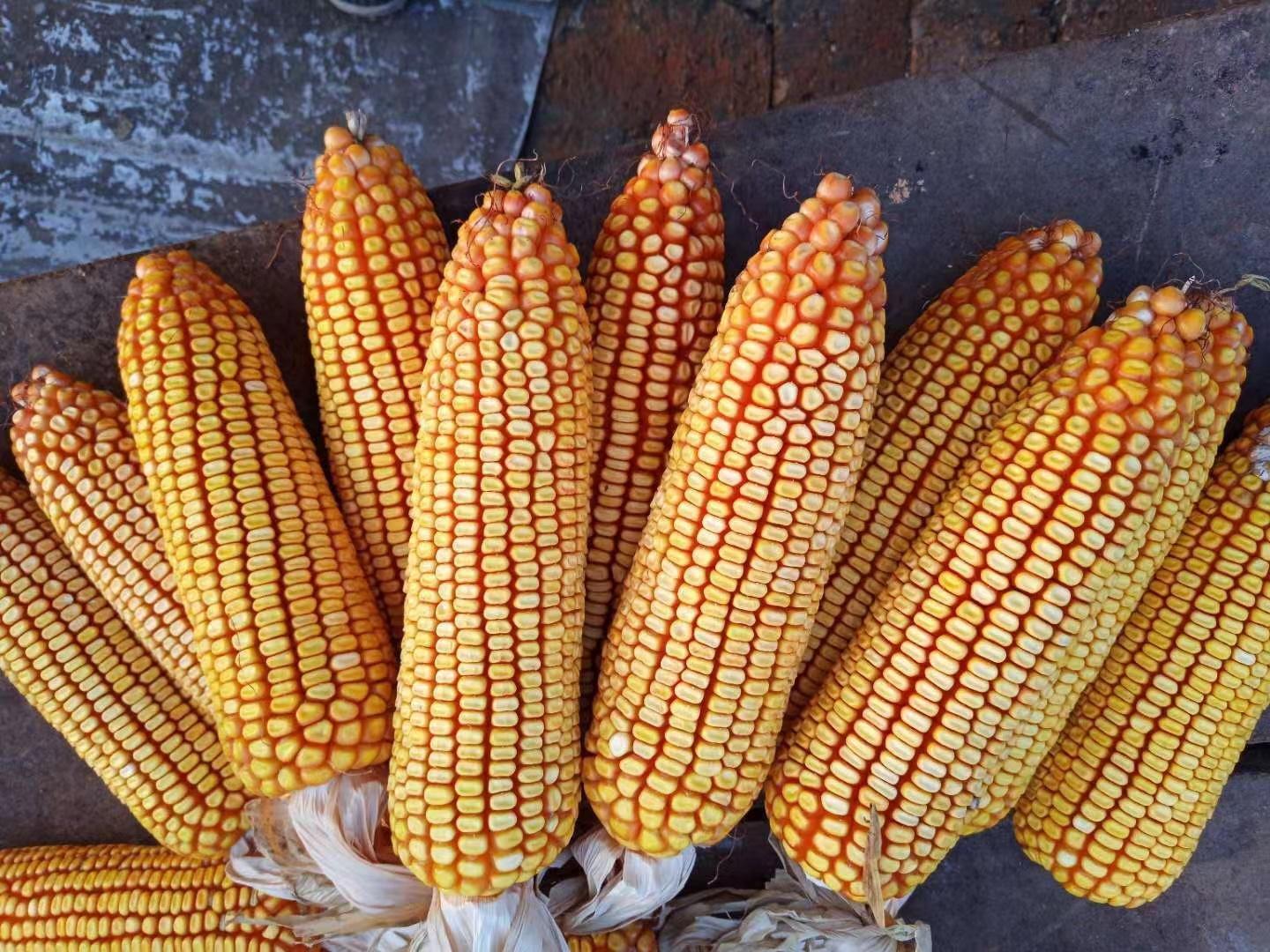 万盈托管-产品质量保障