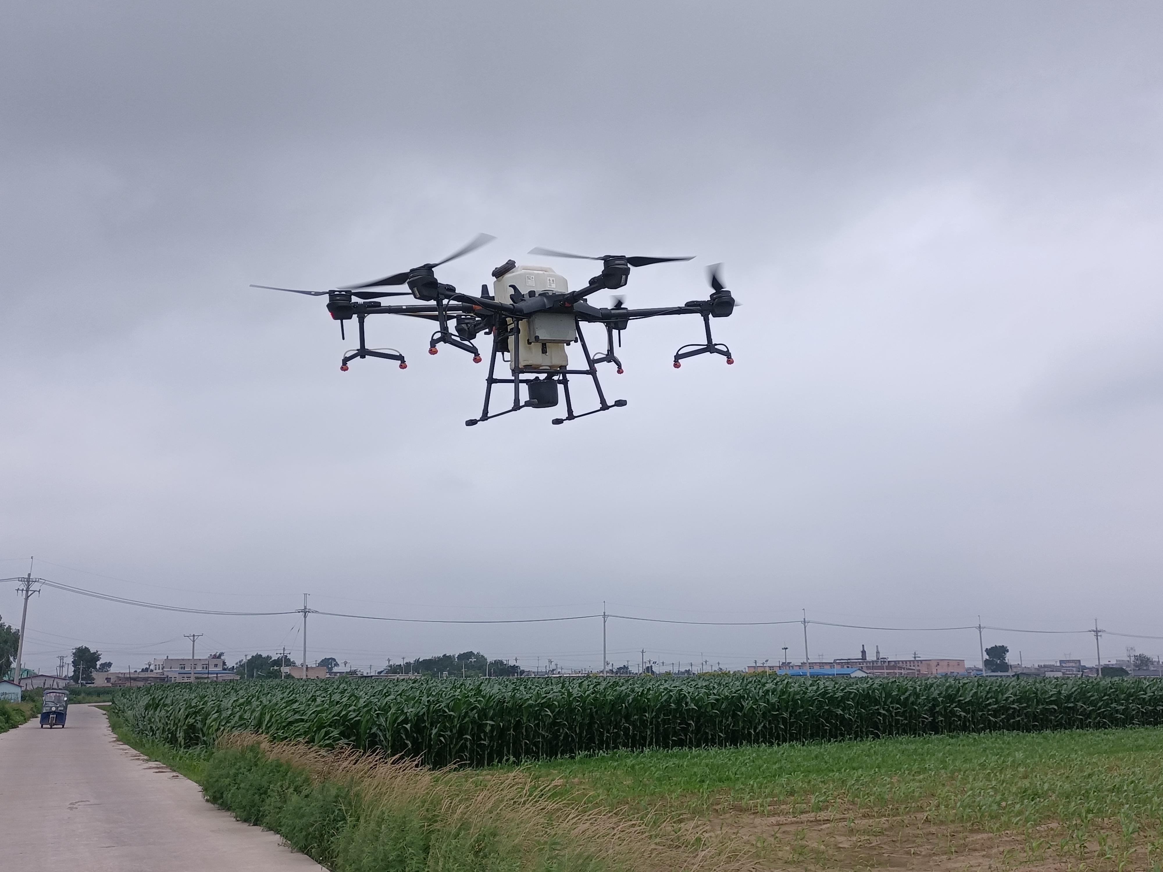 万盈托管-防虫防病保障