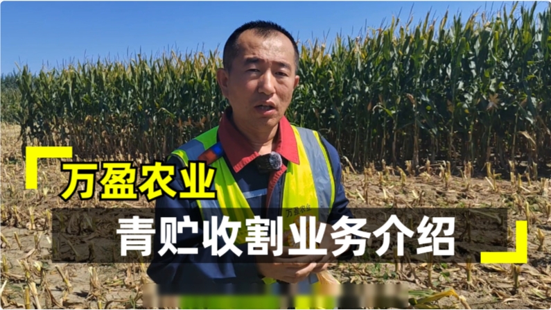 万盈青储收割业务介绍