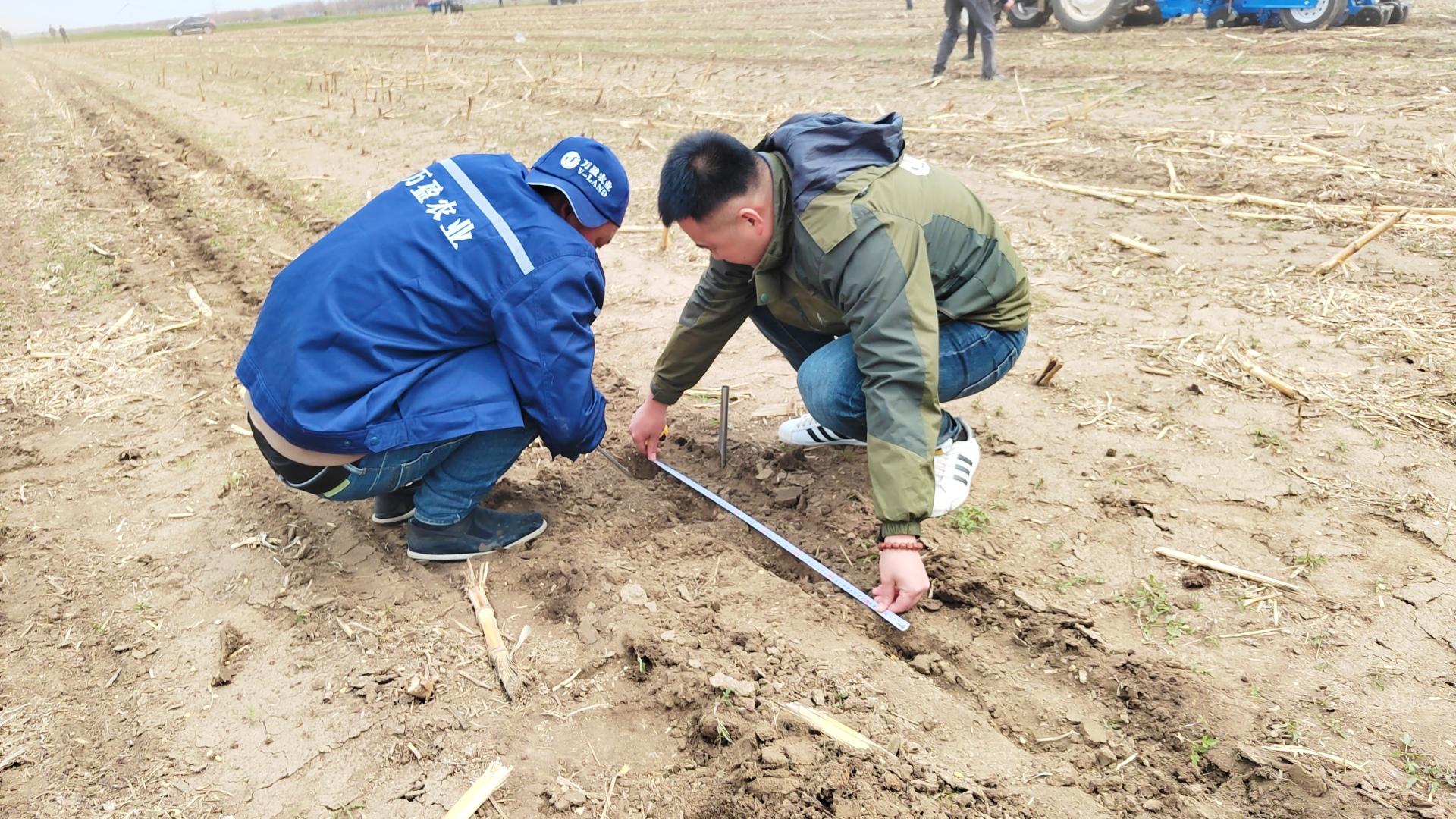 海城：农业社会化服务让农民当上“甩手掌柜”