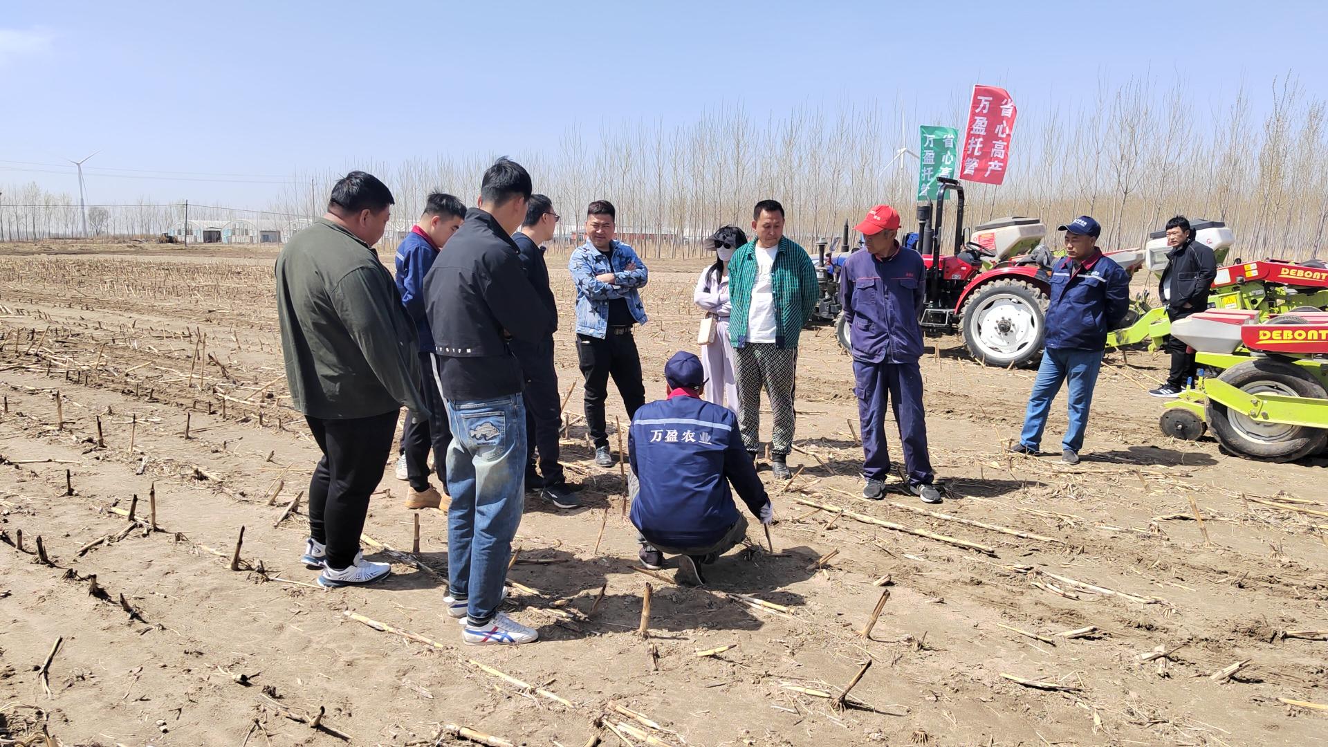 黑土地上“好管家”