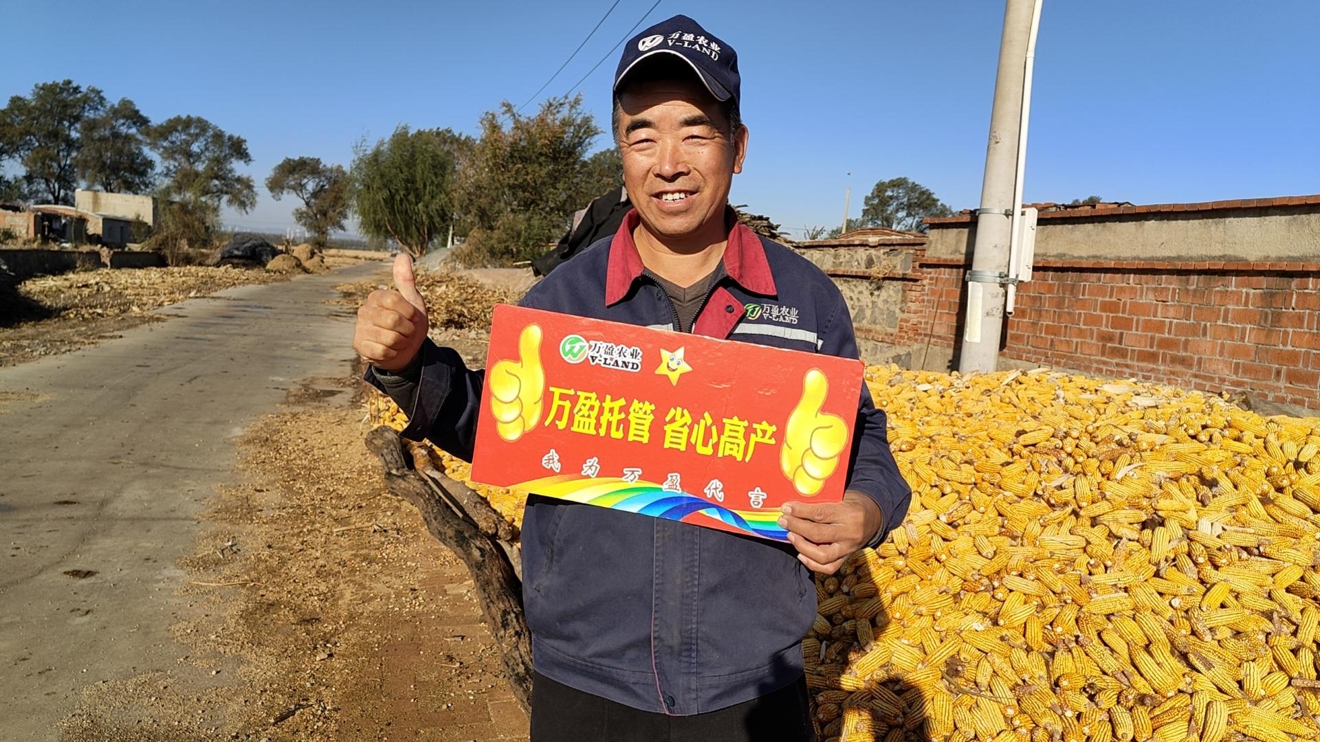 玉米产量构成需要哪些因素？