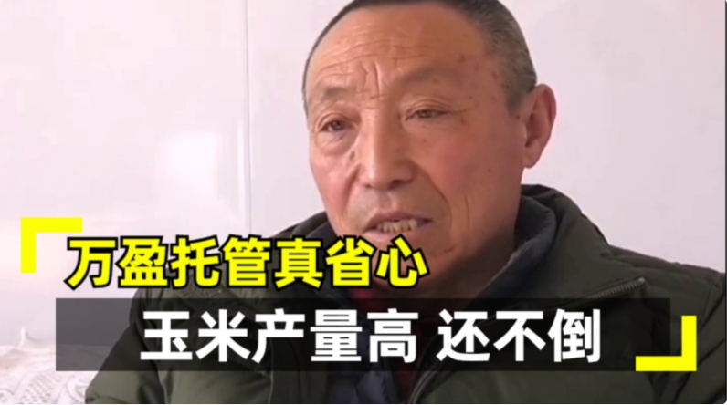 土地托管好处多 想托管找万盈