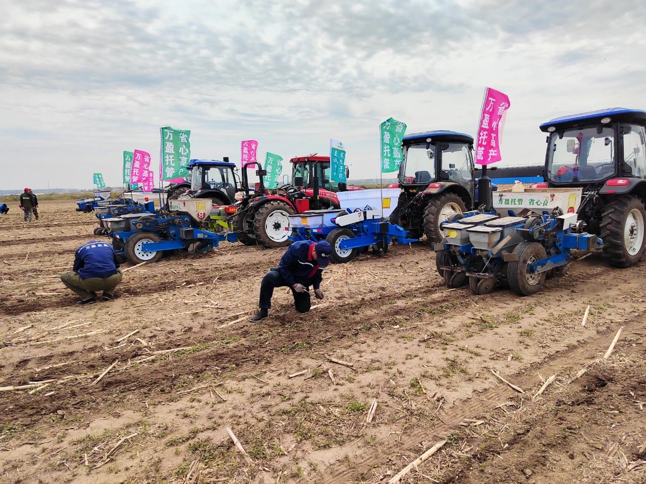 想做好农业社会化服务，需要做好这几点！