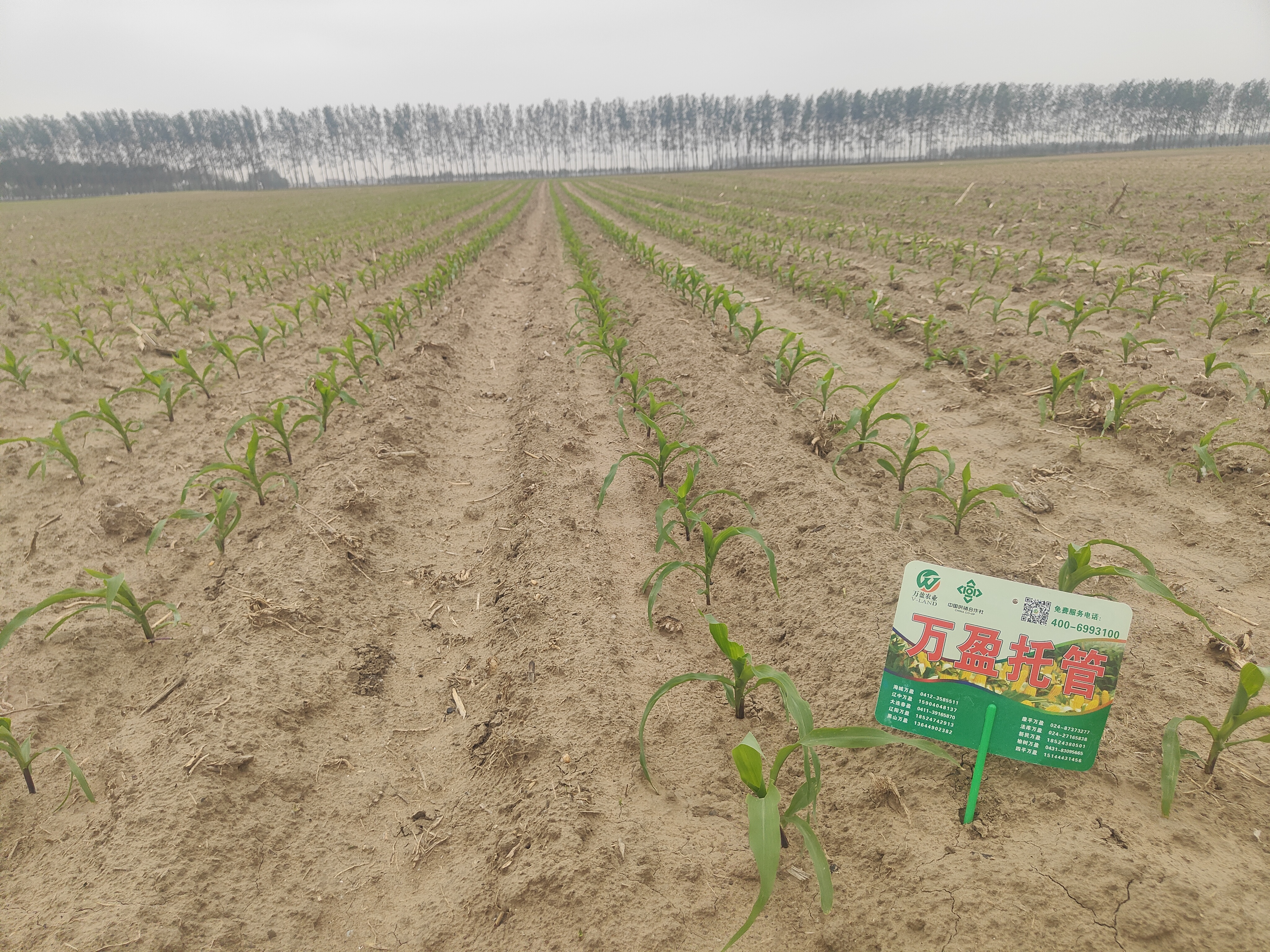 1765518157604093.jpg 微信图片_20240530162333.jpg