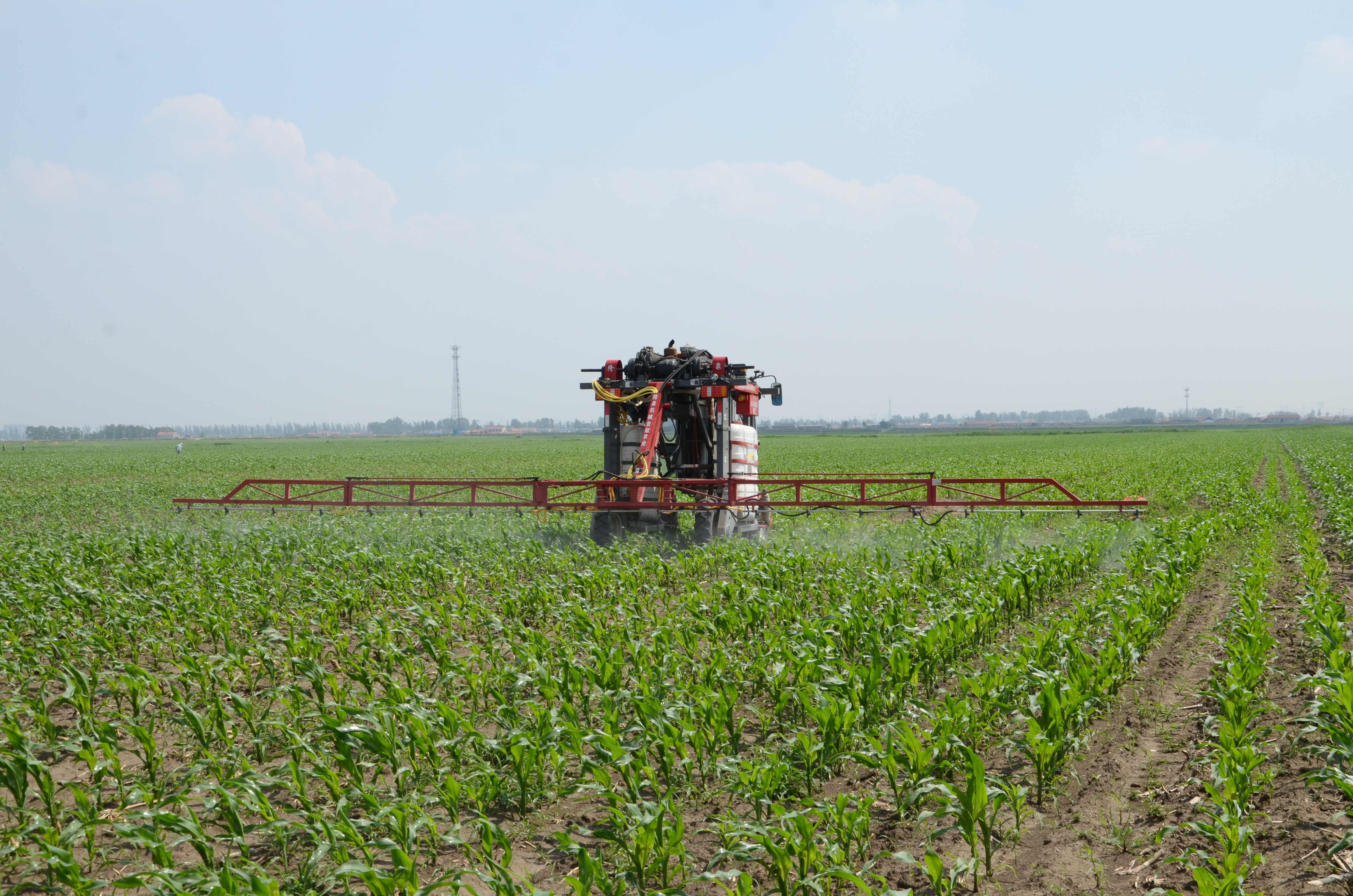 1765593619972122.jpg DSC_1398.JPG