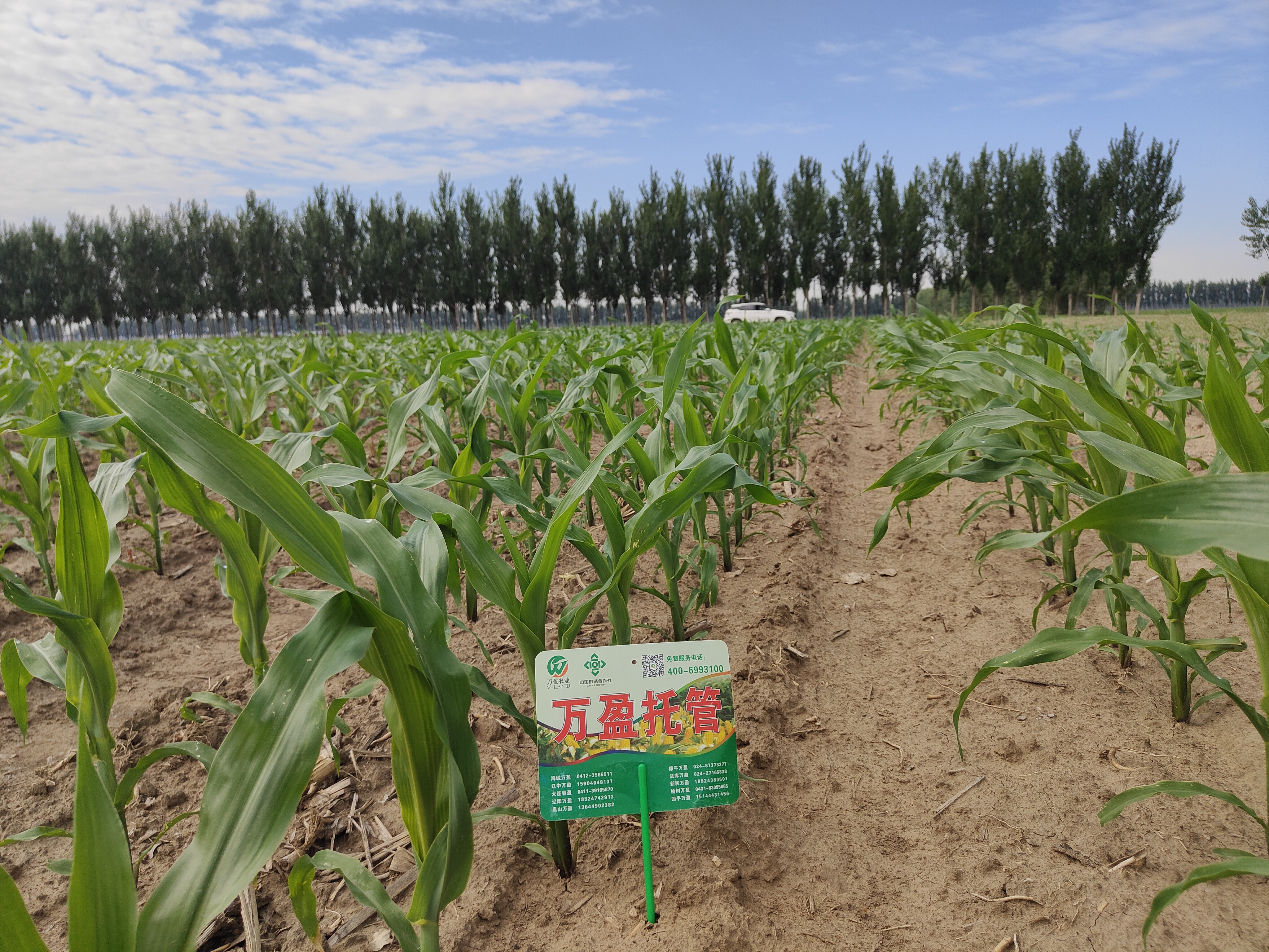 1765608169265779.jpg mmexport1717288812675(1).jpg