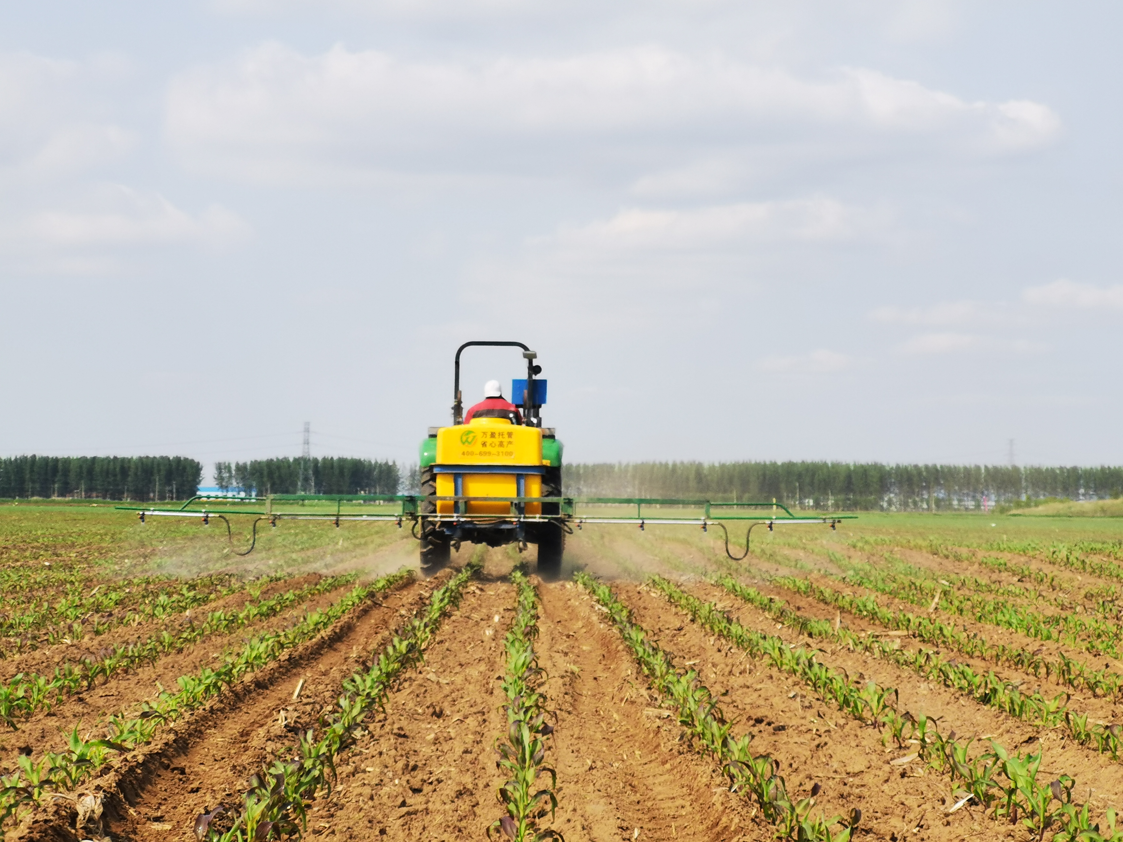 1765768541593898.jpg 微信图片_202011120831322.jpg