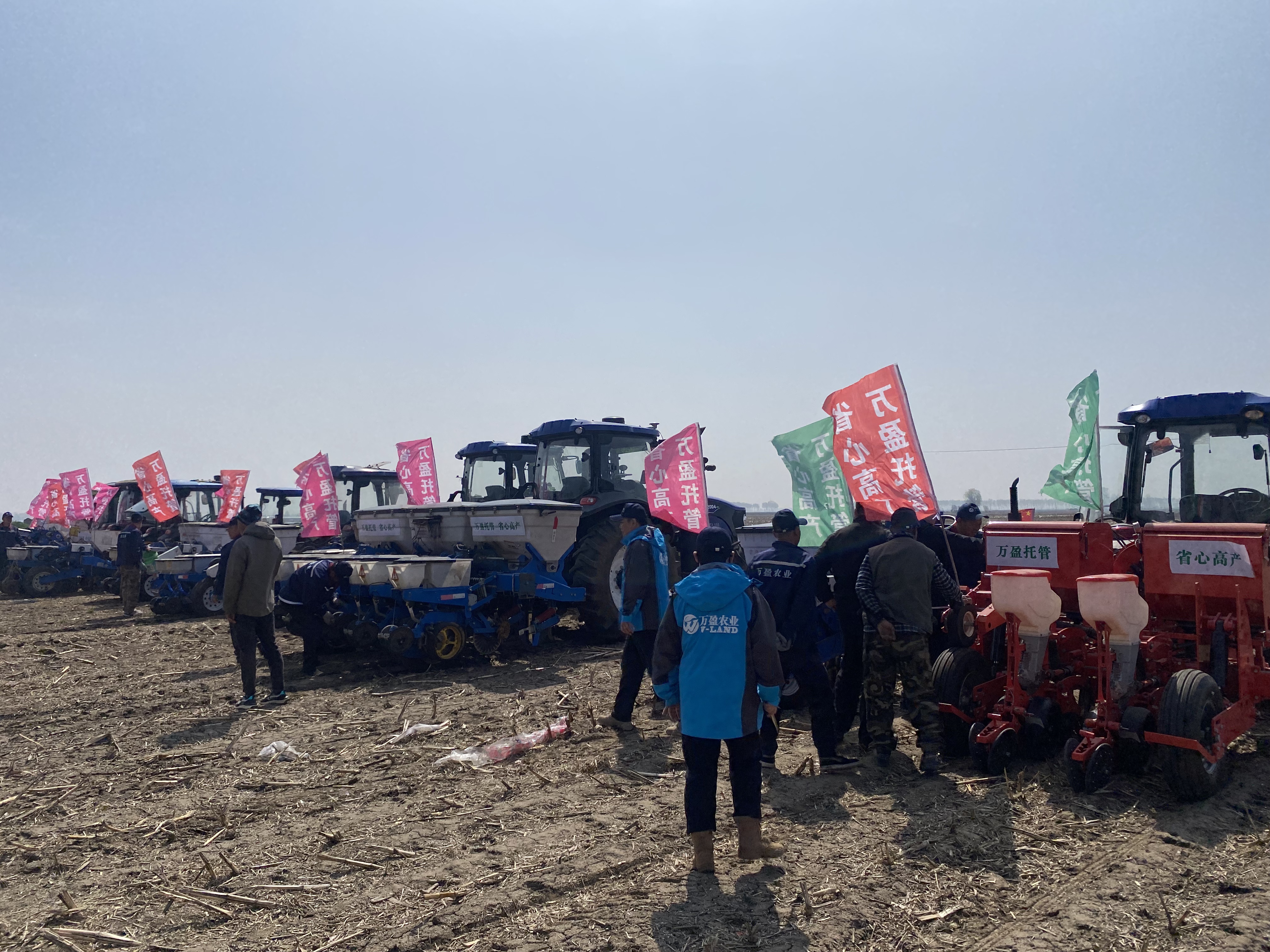 1765769298283178.jpg mmexport1745196756674.jpg