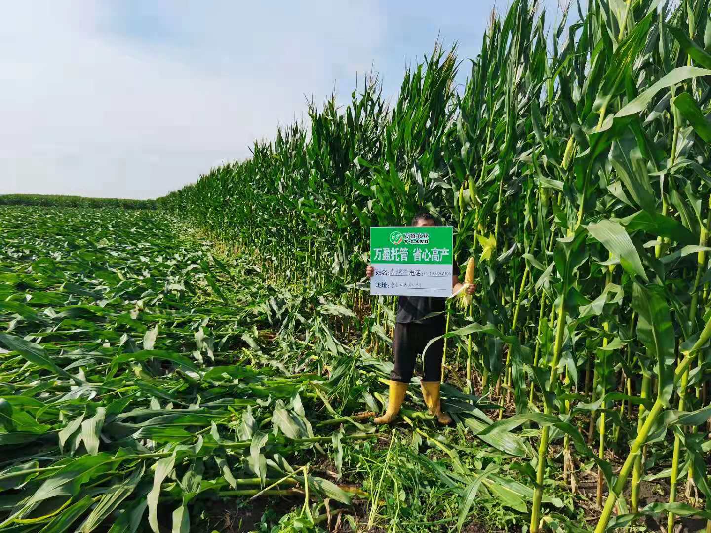 1765787856672293.jpg a1b11ced02068b1a619c04a6b34c63c.jpg