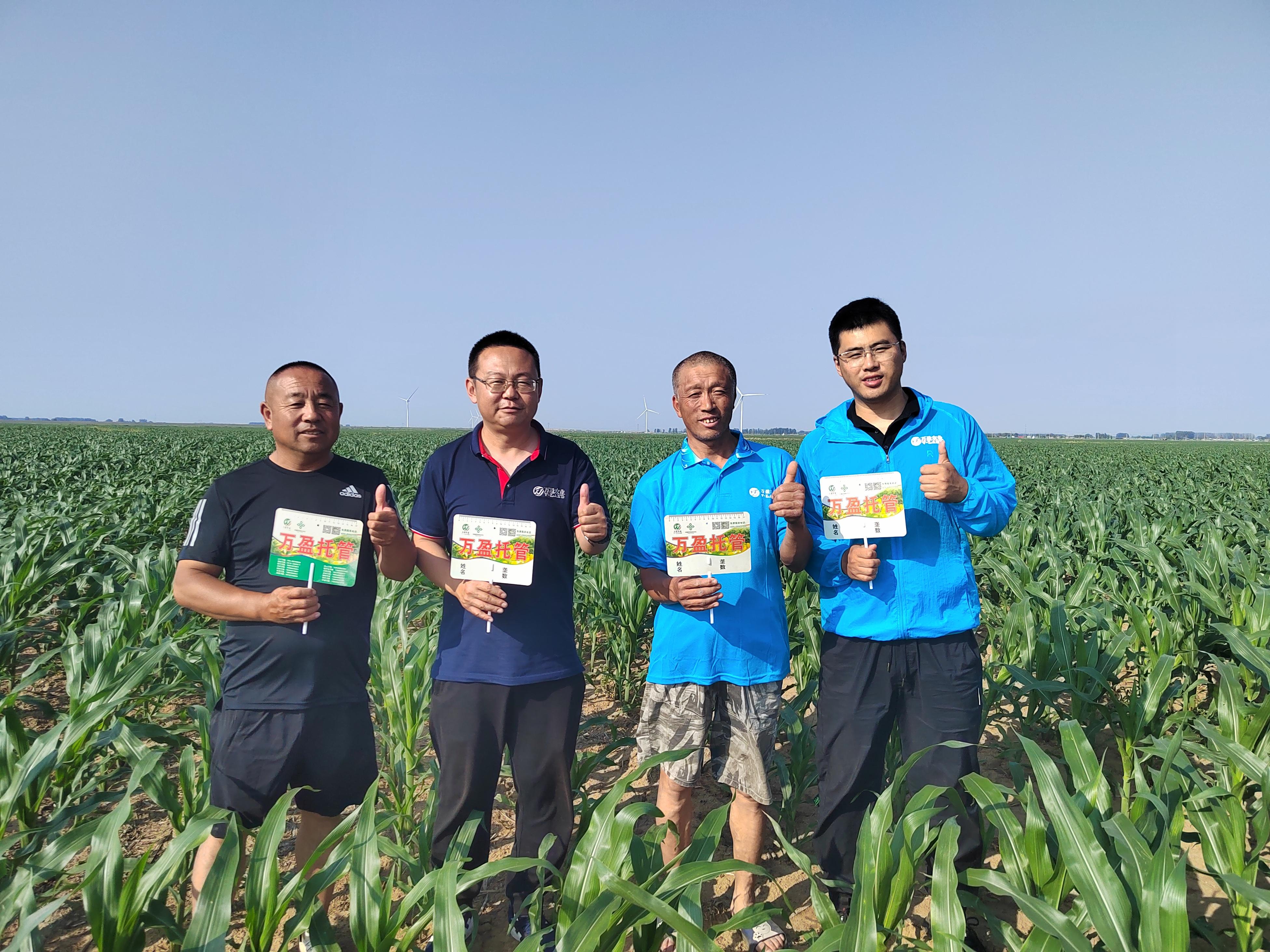 关于做好2025年东北黑土地保护利用项目实施工作的通知