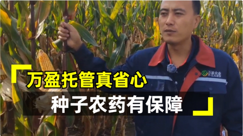 万盈托管就是好  农资化肥有保障