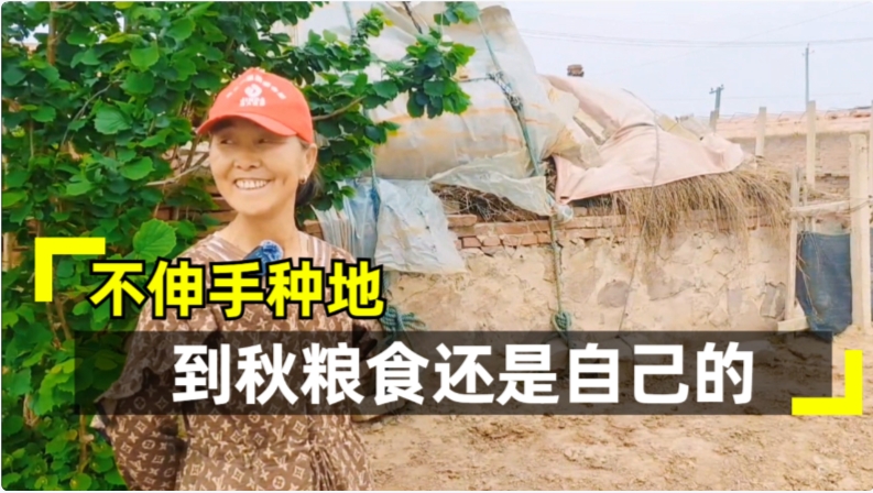 有了万盈土地托管 农村老人种地不用愁