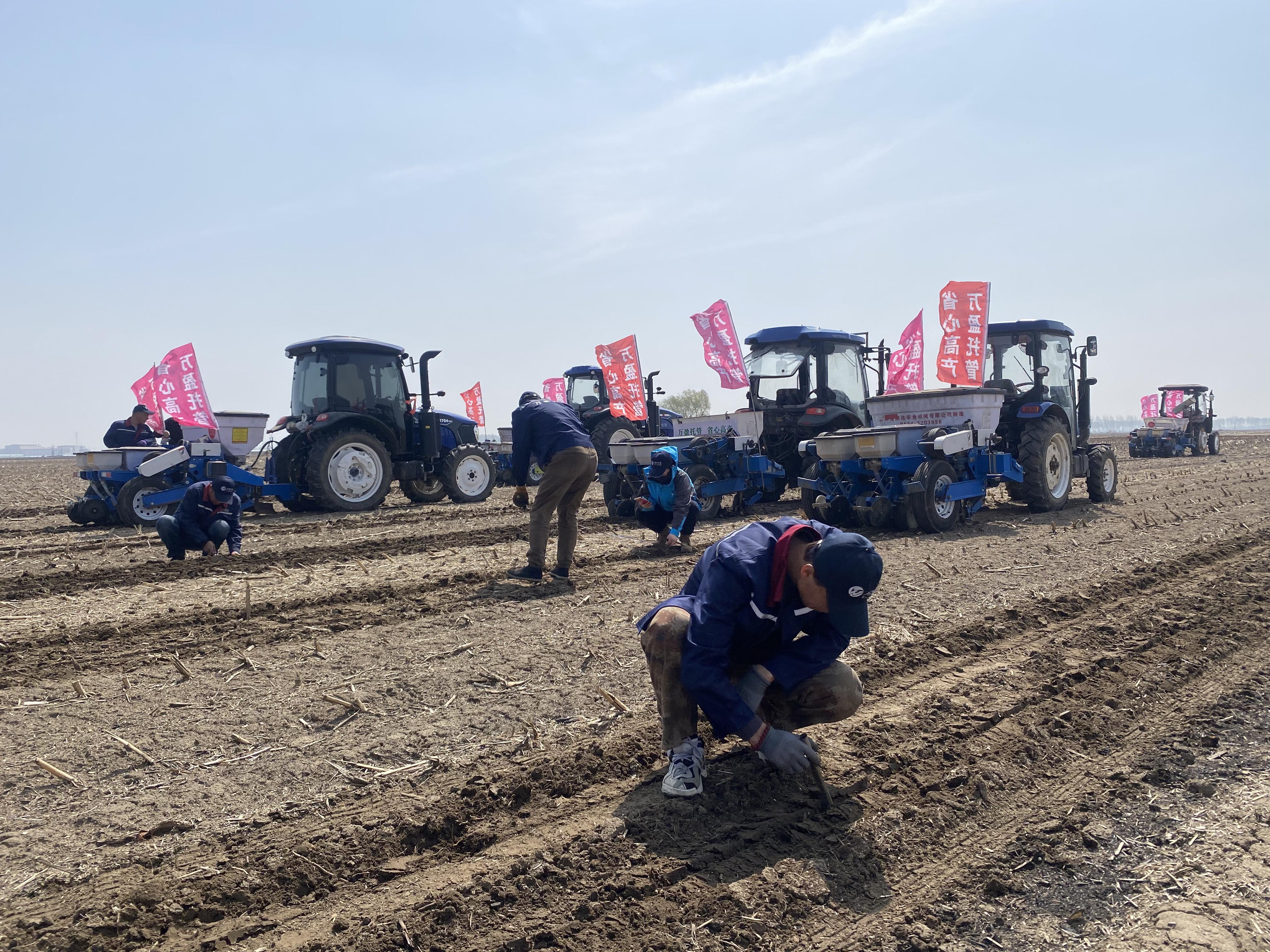 重点领域改革深入推进 乡村振兴添后劲