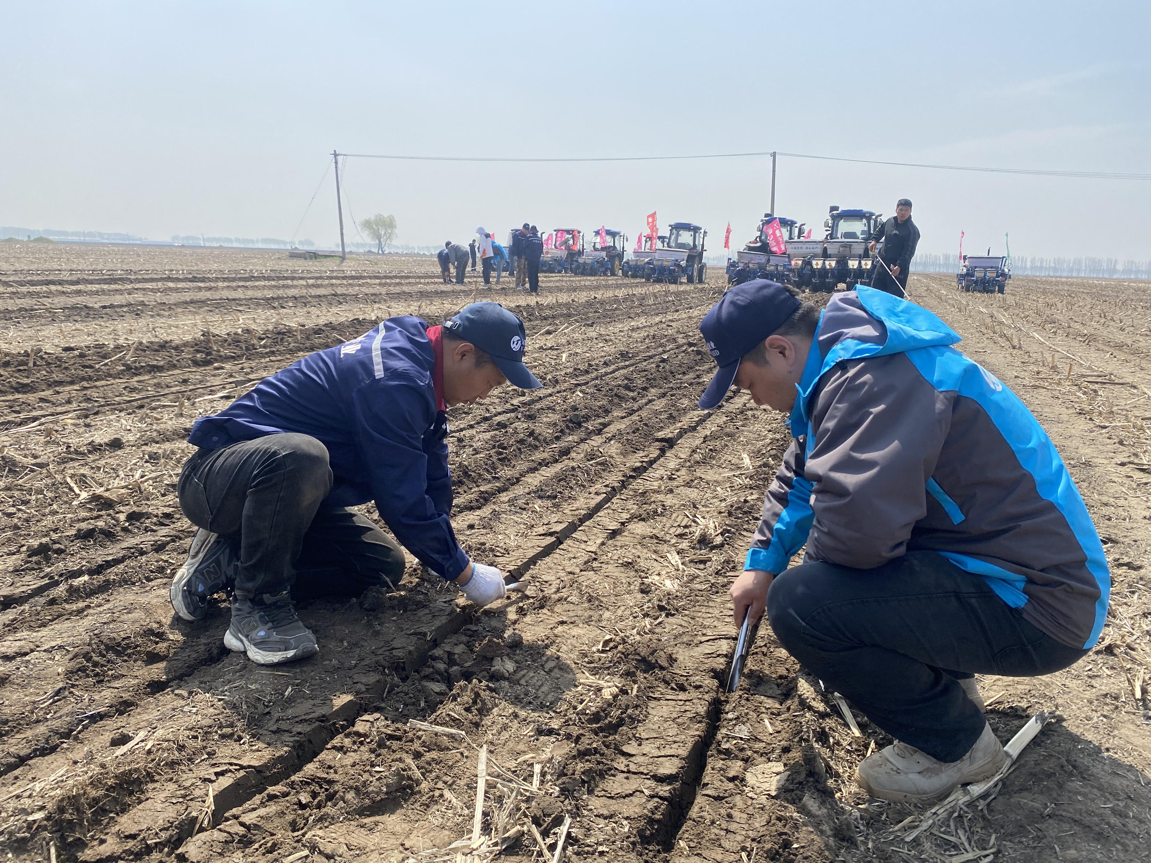 2026年辽宁农业重点工作目标任务