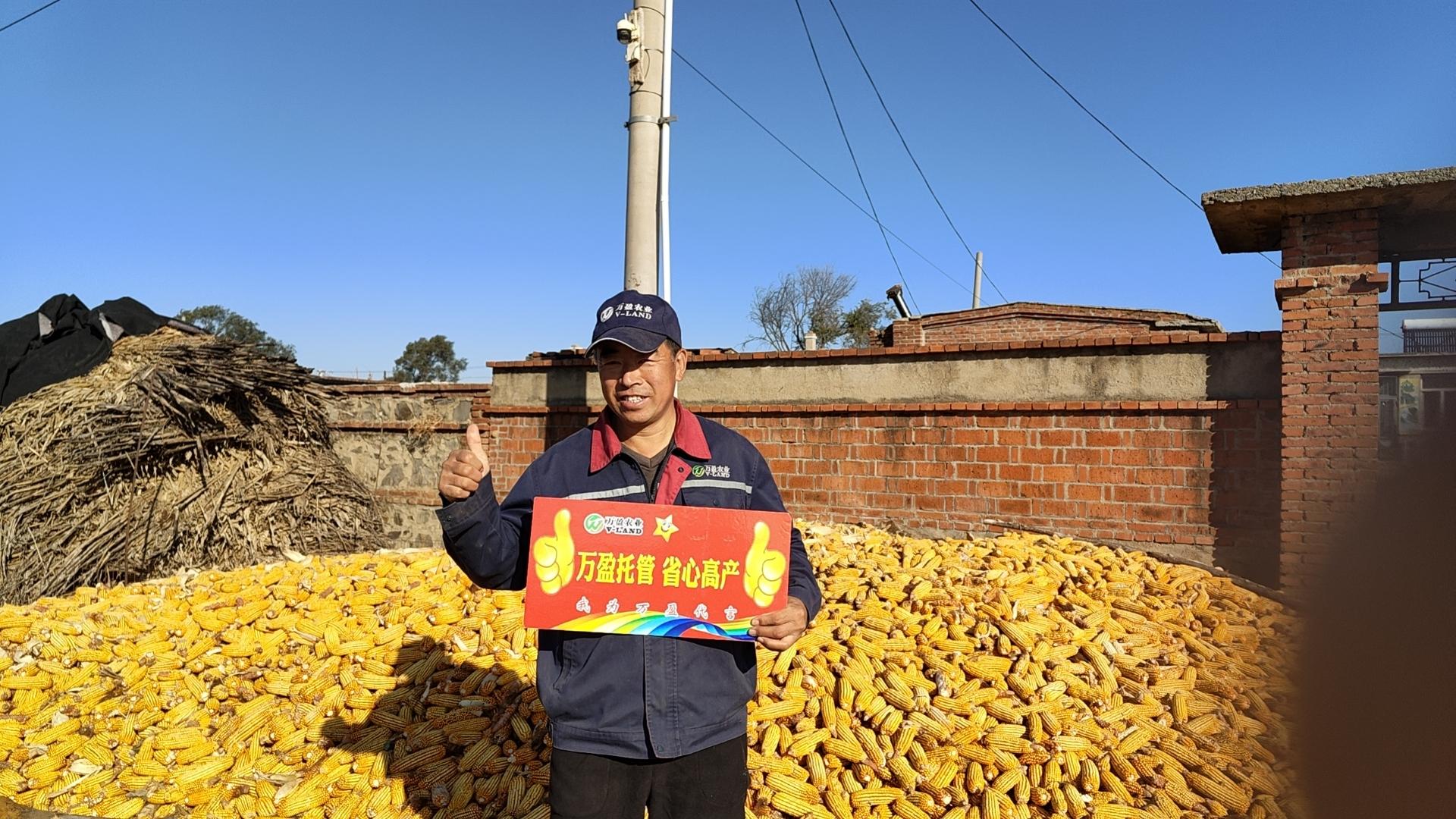 社会化服务成为现代农业转型关键引擎