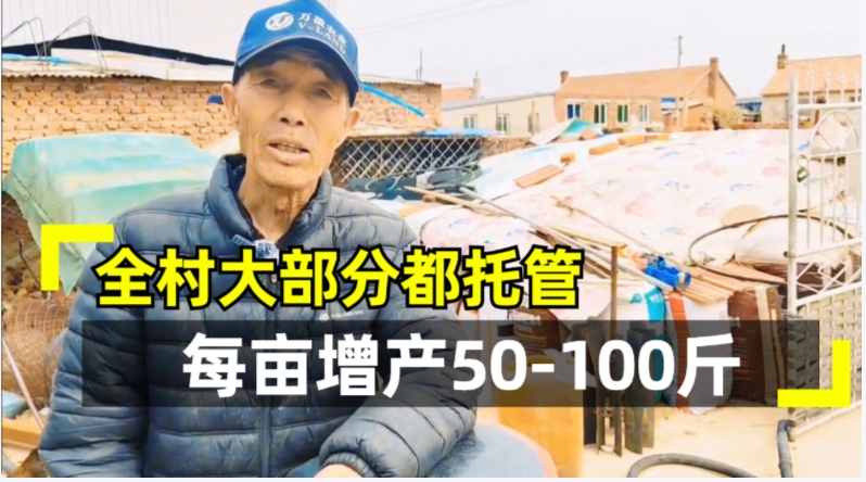 农村大部分土地都托管 省心还增产！