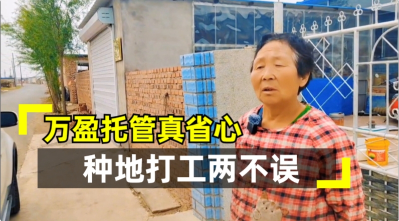 土地托管好 种地打工两不误