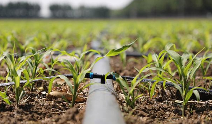 1770011756650269.png 11.png