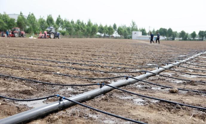 1770012093212934.jpg 4444.jpg