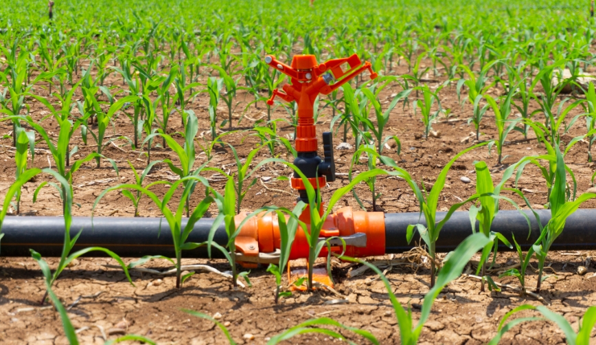 1770012118961691.png 22.png