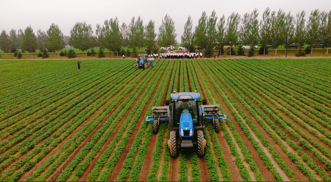 1772074250576320.png image.png