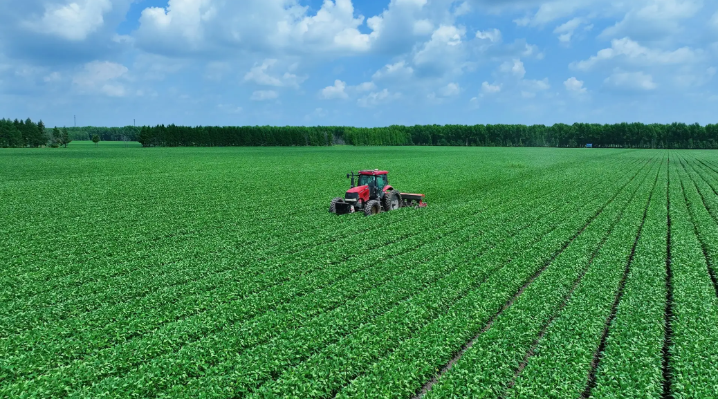 1772074295642243.png image.png