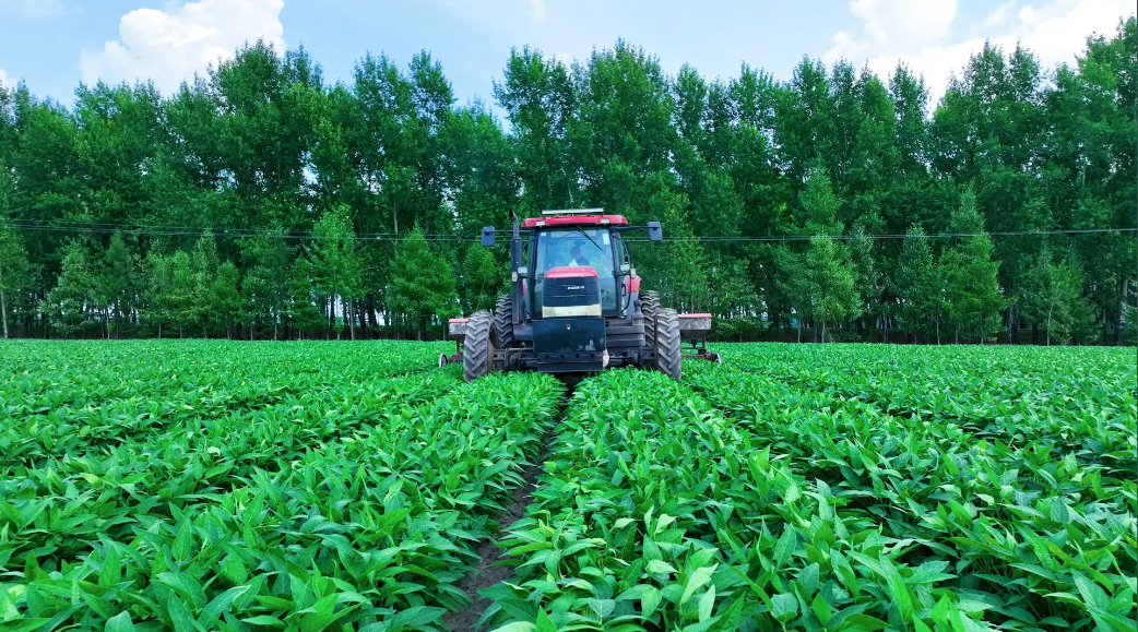 1772074402836009.png image.png